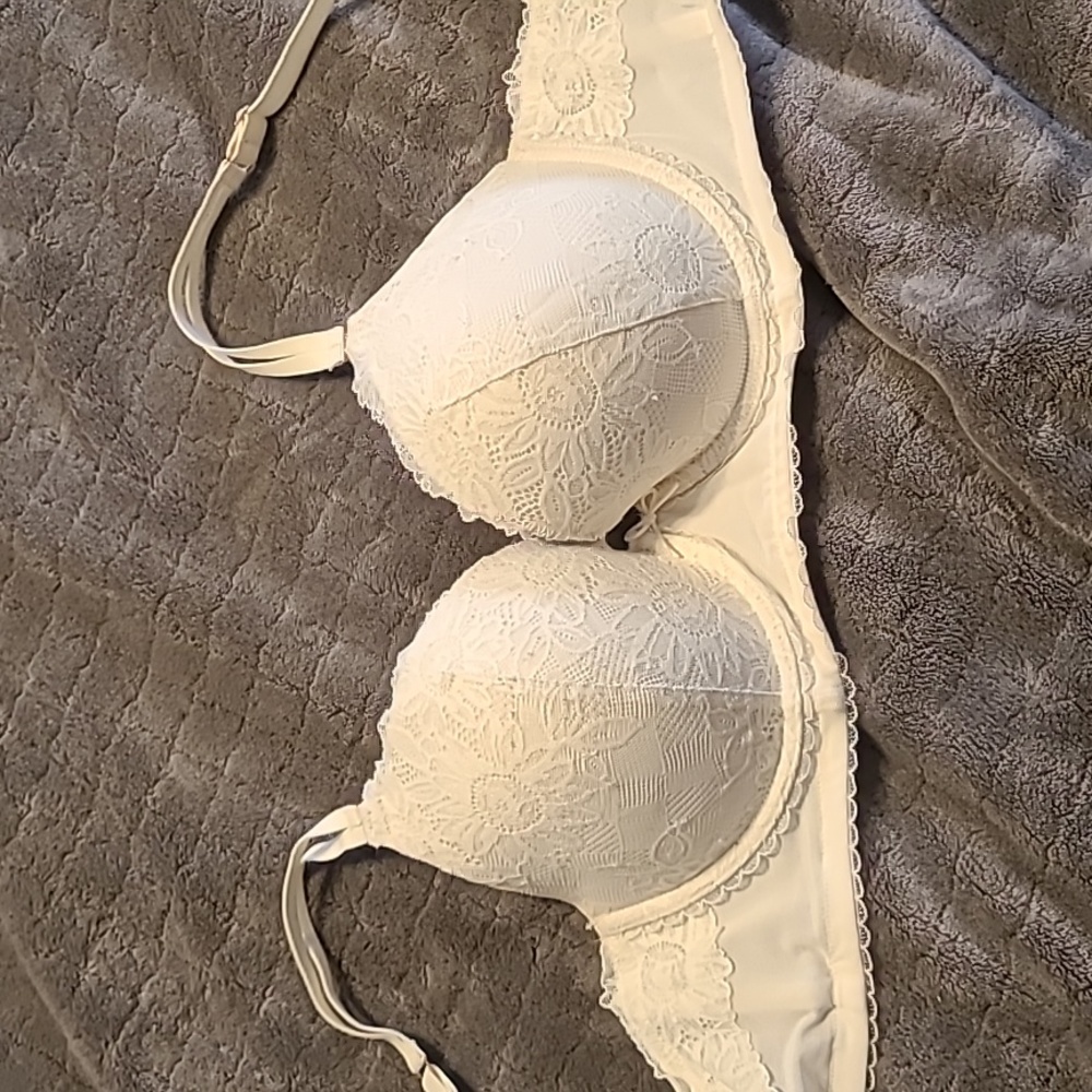 Aerie plunge push up bra